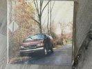 Sleeping on Trash by The Wonder Years (Vinyl, Feb-2013, No Sleep Records)