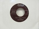 The Silhouettes-What Would You Do/I Sold My Heart To The Junkman-Doo Wop-7