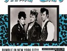 Stray Cats - Rumble In New York City Live At The Ritz 1988 [LP] [Vinyl] NEW