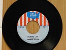 Frankie Newsom soul 45 Taunting Love bw Its A Shame on USA