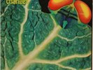 CATAPILLA - CHANGES LP - ORIGINAL UK PRESSING (VERTIGO SWIRL 6360 074)