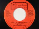 Modern Soul 45 - Chosen Few Band - What It Takes To Live - BR - NM mp3