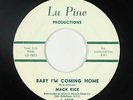 Northern Soul R&B 45 - Mack Rice - Baby I'm Coming Home - Lu Pine - mp3