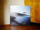 Morning View Limited Numbered Edition  [LP] Incubus Vinyl California Surf