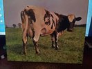 PINK FLOYD-VINYL RECORD-ATOM HEART MOTHER