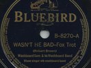BLUES - WASHBOARD SAM 