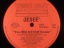 Jesee ?– You Will Never Know 12