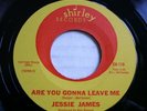 JESSIE JAMES Are You Gonna Leave Me SHIRLEY 1966  Northern Soul 45 M-