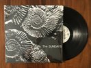 THE SUNDAYS - READING, WRITING AND ARITHMETIC [VINYL] RSD 2018 Rare Limited