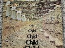 The Child - Child Jubilee JGS 8029 Vinyl Record LP Psych Blues Rock