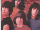RAMONES french 1980 45 DO YOU REMEMBER ROCK'N'ROLL RADIO SHEENA IS A PUNK ROCKER
