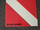 Van Halen DIVER DOWN 1982 Warner Brothers Records Vinyl LP Very Good