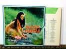 Al Caiola, Kalua Beach Boys - Aloha Hawaii, 1978 - 6 x LP Box - NM Vinyl