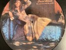 DAVID BOWIE THE MAN WHO SOLD THE WORLD PICTURE DISK 6338041 PD MERCURY