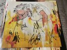 Blue October This Is What I Live For Signed Autographed Vinyl Record 2 LP Green