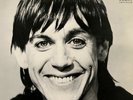ORIGINAL Vtg IGGY POP Album LUST FOR LIFE Record Lp INTS 5114 VINYL is NEAR MINT
