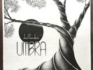 Joel Fairstein Umbra LP Thunderhead Records RARE PRIVATE PRESS JAZZ FUNK