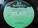 BIG MAGNETIC Different Strokes WHO GOT DA FLOW Vinyl 12