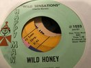 45 Wild Honey “ wild sensations/ what about our love “soul psych Charlie Daniels