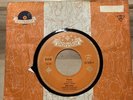SINGLE     BIBI JOHNS  - PIERO-JUNGE,JUNGE DAS WÄHR´ WUNDERSCHÖN ,7inch Rarität