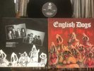 ENGLISH DOGS: