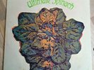 Ultimate Spinach LP Same USA MGM 1st Press GATEFOLD DEEP GROOVE PSYCH $$