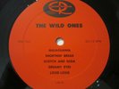 The Wild Ones Custom Recording 5-5011 RARE MN Surf Garage c1965/6