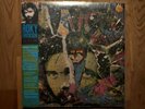 Roky Erickson and the Aliens - The Evil One Double Vinyl LP Ltd Etched 2013 LITA