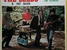 SEEDS & SKY SAXON - Bad Part of Town (1982 Eva comp; pre-LP and late 45s) M-/M-