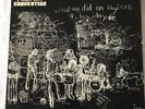 FAIRPORT CONVENTION LP -WHAT WE DID ON OUR HOLIDAYS- FIRST PRESSING -PINK LABEL