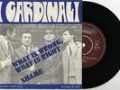 I CARDINALI-WHAT IS WRONG WHAT IS RIGHT-GRANDE E RARISSIMO BEAT ITALIANO-1967