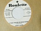 Jimmy Lloyd-Where The Rio DeRosa Flows b/wThe Beginning Of The End-PROMO-7