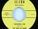 Sons of Adam 