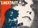 T.REX - T. REXTASY THE BEST OF T. REX 1970 - 1973 - NEAR MINT -  SUPERB