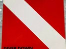 Van Halen DIVER DOWN Vinyl Record LP