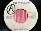 Wayne Wade - Lord of Lords - Reggae 45 - Prophet
