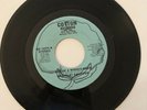 Willis Wooten ?– Your Love Is Indescribably Delicious / Do The Train