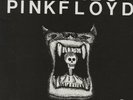 2 LP PINK FLOYD Pictures Of / Live concert - Topsound Quality QR 179101 - NEW  *