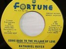 NATHANIEL MAYER--GOING BACK TO THE VILLAGE OF LOVE--FORTUNE-557--NORTHERN