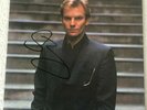 STING signed 7