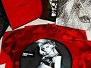 LADY GAGA Born This Way Limited Edition Box Set Picture Disc Vinyl Numbered