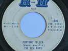 Alabama Garage Surf Rock 45 THE DEL-RAYS Fortune Teller / Dimples on R&H mp3