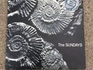The Sundays Reading, Writing And Arithmetic Limited Edition Picture Disc Vinyl