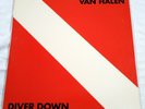 Van Halen Diver Down Vinyl LP Record (BSK 3677)