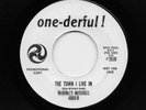 McKinley Mitchell - The Town I Live In / No Love (Soul, 45) 4804