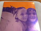 Siamese Dream by The Smashing Pumpkins (Vinyl, Nov-2011, 2 Discs, Virgin)