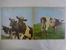 Pink Floyd Atom Heart Mother Harvest EMS-80320 Japan  VINYL LP