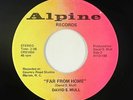Psych Folk Outsider 45 - David S. Mull - Far From Home - Alpine VG+ mp3 obscure