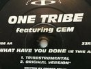 ONE TRIBE - WHAT HAVE YOU DONE 12