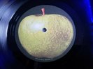 The Beatles Apple lp record MAGICAL MYSTERY TOUR,  ERROR BLANK LABEL